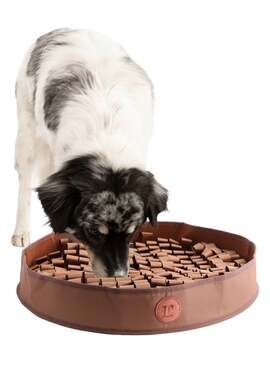 Reggie Snuffle Mat & Slow Feeding Enrichment Bowl for Dogs, 20-in, Bark Brown